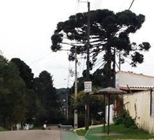 desentupidora sao jose dos pinhais Dom Rodrigo